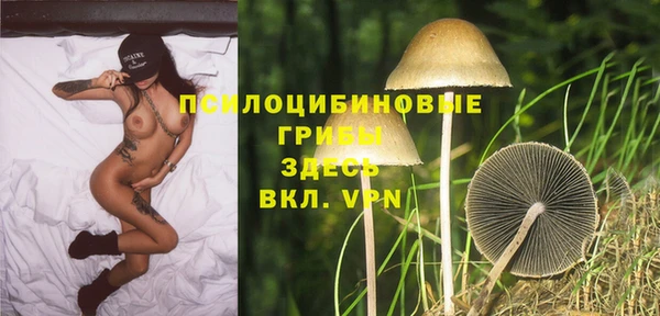 прущий лед Балахна