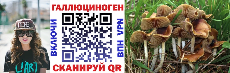 Псилоцибиновые грибы прущие грибы  Макарьев 